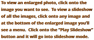 To view an enlarged photo, click onto the image you want to see.  To view a slideshow of all the images, click onto any image and at the bottom of the enlarged image you’ll see a menu.  Click onto the “Play Slideshow” button and it will go into slideshow mode.