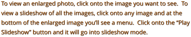 To view an enlarged photo, click onto the image you want to see.  To view a slideshow of all the images, click onto any image and at the bottom of the enlarged image you’ll see a menu.  Click onto the “Play Slideshow” button and it will go into slideshow mode.